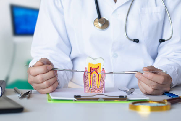 Best Emergency Tooth Extraction in Rockwall, TX